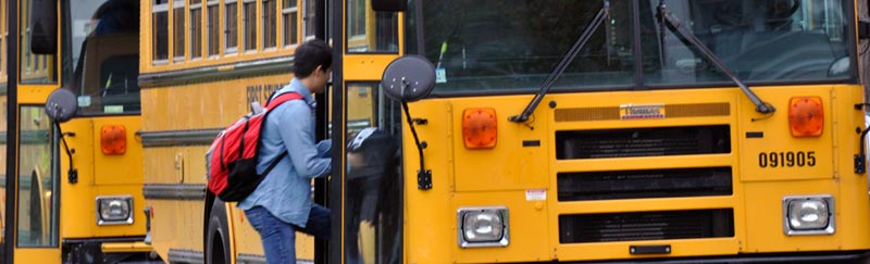 buses_DSC0003